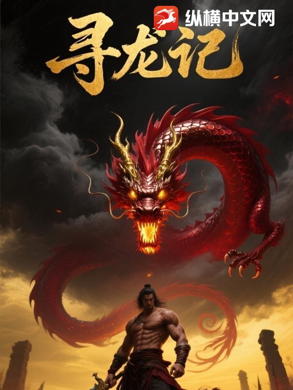 寻龙记